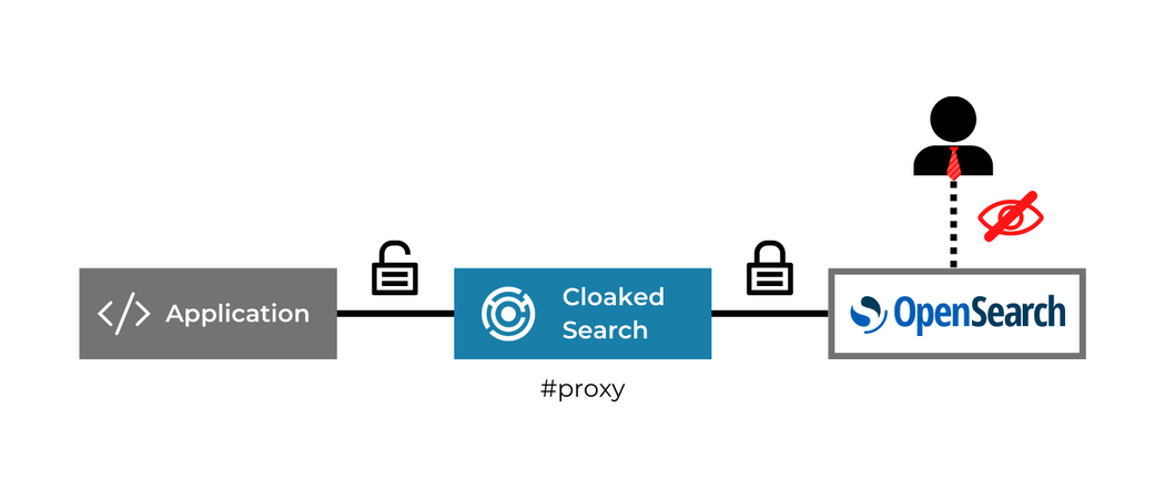 Cloaked Search Proxy